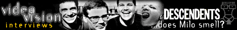 Video Vision: Descendents Interview